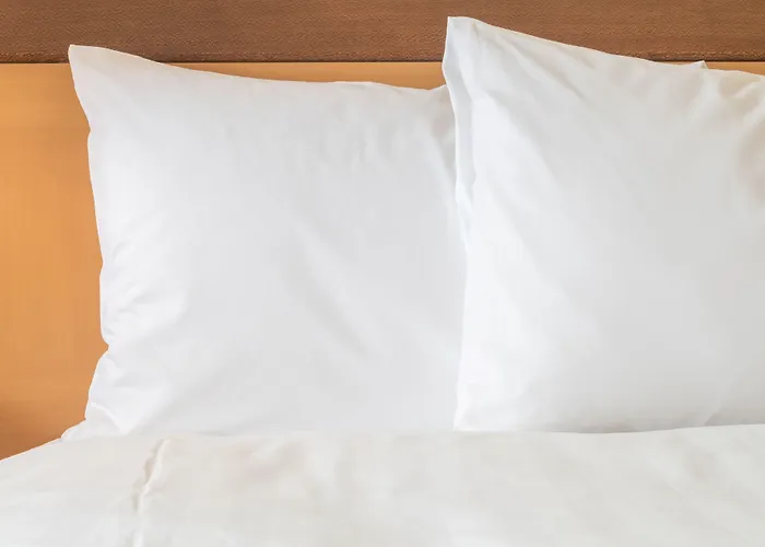 Express - Quad Cities Area By Ihg 2*
